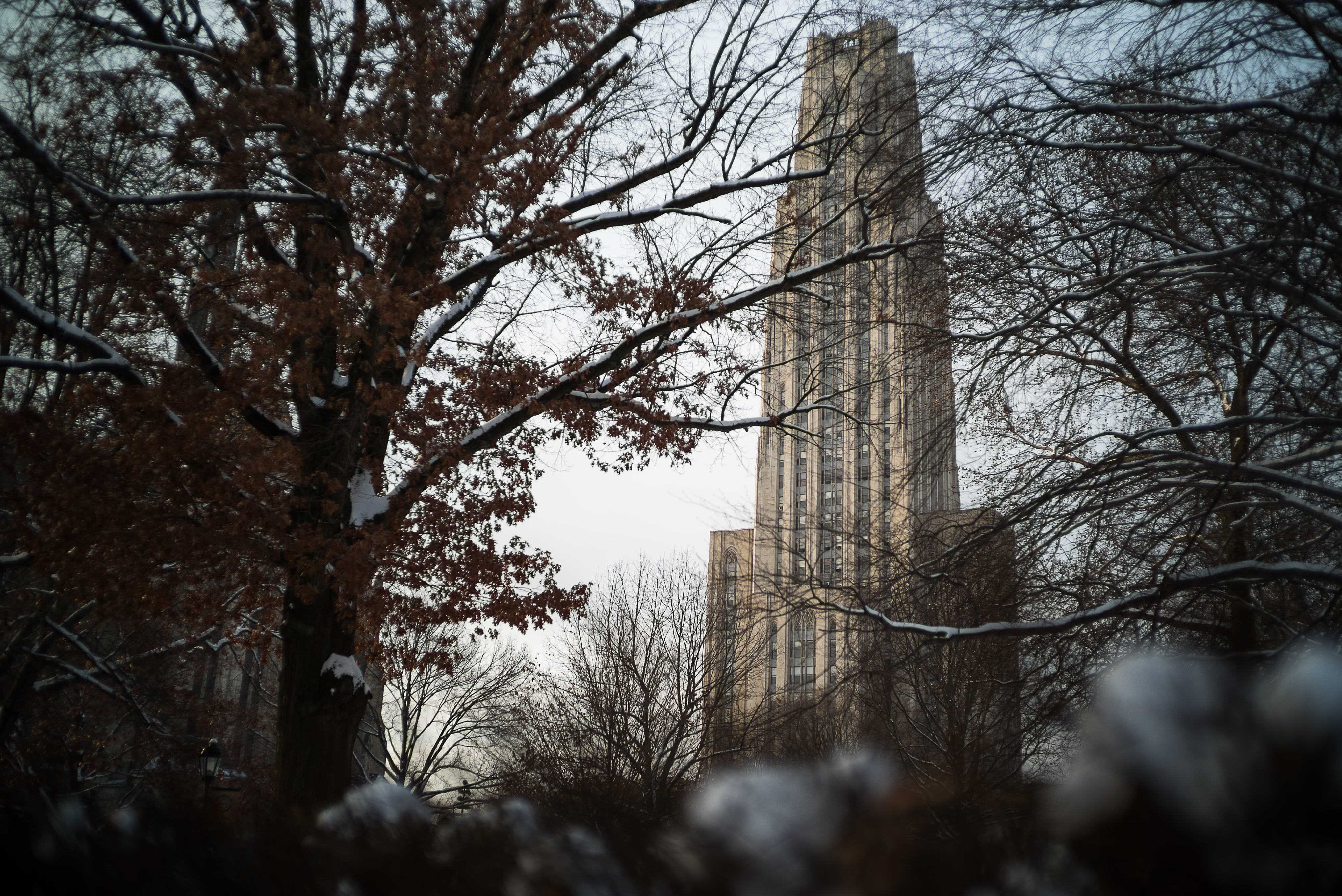 Cathedral of Learning in the morning.

Pittsburgh, PA